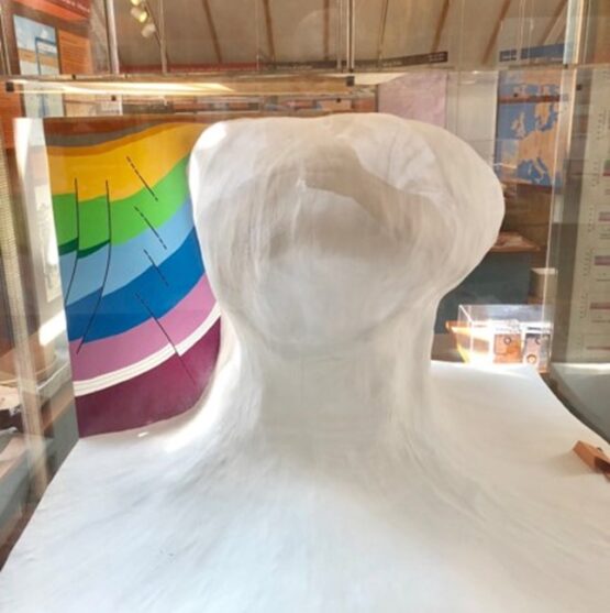 Mushroom shaped salt diapir. Over millions of years, soil and sand have covered the salt flats. However, the density of salt is much less than soil and sand and the salt is therefore rising to the surface just like a cork stopper, which means that in some locations, the salt is only a few hundred meters beneath the surface.