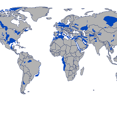 Known salt deposits, there may be many more.