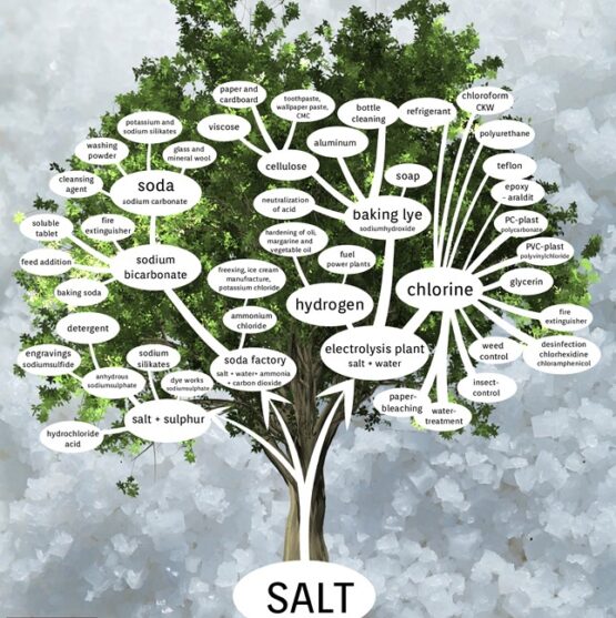 Salt is the second most mined substance in the world after iron. It is used for a large variety of daily products and is indispensable for a modern society.